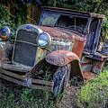 Old Model Aa Ford In The Jungle 2 by Edward Fielding Old Model Aa Ford In The Jungle 2 by Edward Fielding