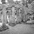 Old Sheldon Church - Angled by Scott Hansen