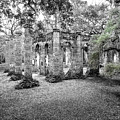 Old Sheldon Ruins by Scott Hansen