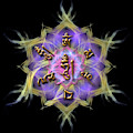 OM MANI PADME HUM with symbols Digital Art by Alexa Szlavics OM MANI PADME HUM with symbols Digital Art by Alexa Szlavics