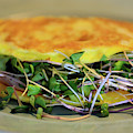 Omelette With Sprouts Photograph by Kae Cheatham Omelette With Sprouts Photograph by Kae Cheatham
