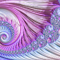 Opal Nautilus Digital Art by Susan Maxwell Schmidt Opal Nautilus Digital Art by Susan Maxwell Schmidt