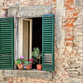 Open Window of Cortona Photograph by David Letts Open Window of Cortona Photograph by David Letts