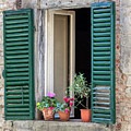 Open Window of Tuscany Photograph by David Letts Open Window of Tuscany Photograph by David Letts