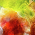Orange And Green Flower Abstract Photograph by Phillip Rubino Orange And Green Flower Abstract Photograph by Phillip Rubino