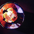 Orange Blossom by Dianna Ponting Orange Blossom by Dianna Ponting