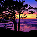 Oregon Coast Sunset by Ron White