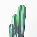 Organ Pipe Cactus by Cassia Beck Organ Pipe Cactus by Cassia Beck