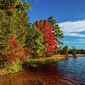 Oswego Lake Pinelands Photograph by Louis Dallara Oswego Lake Pinelands Photograph by Louis Dallara