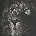 Out from the Dark by Bob Williams