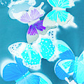 Out Of The Blue by Jorgo Photography - Wall Art Gallery Out Of The Blue by Jorgo Photography - Wall Art Gallery