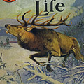 Outdoor Life Magazine Cover January 1934 by Outdoor Life