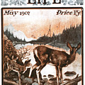 Outdoor Life Magazine Cover May 1907 by Outdoor Life