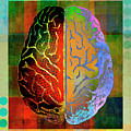 Overhead View Of Brightly Colored Right Photograph by Ikon Images Overhead View Of Brightly Colored Right Photograph by Ikon Images