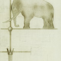 Pachyderm House, Philadelphia Zoo, detail of weather vane Drawing by Paul Philippe Cret Pachyderm House, Philadelphia Zoo, detail of weather vane Drawing by Paul Philippe Cret