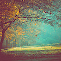 Painted Sunrise Photograph by Michelle Wermuth Painted Sunrise Photograph by Michelle Wermuth