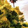 Palm above the Trees Photograph by Roslyn Wilkins Palm above the Trees Photograph by Roslyn Wilkins