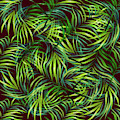 Palm Leaf Pattern 2 - Tropical Leaf Pattern - Green, Black - Tropical, Botanical Pattern Design by Studio Grafiikka Palm Leaf Pattern 2 - Tropical Leaf Pattern - Green, Black - Tropical, Botanical Pattern Design by Studio Grafiikka
