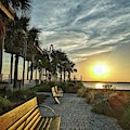 Palm Tree Sunset Photograph by Portia Olaughlin Palm Tree Sunset Photograph by Portia Olaughlin
