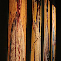 Panels of Art at Pompeii Exhibit Reagan Library Photograph by Colleen Cornelius Panels of Art at Pompeii Exhibit Reagan Library Photograph by Colleen Cornelius