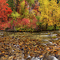 Panorama of Color Photograph by Leland D Howard