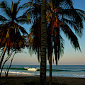 Paraiso Photograph by Nik West Paraiso Photograph by Nik West