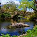 Park bridge2 Photograph by Stuart Manning Park bridge2 Photograph by Stuart Manning