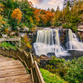 Pathway to Blackwater Falls Photograph by Amanda Jones Pathway to Blackwater Falls Photograph by Amanda Jones
