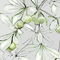Patio Print Digital Art by Gina Harrison Patio Print Digital Art by Gina Harrison