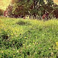 Peaceful Pastoral Perspective Photograph by Carol Whaley Addassi Peaceful Pastoral Perspective Photograph by Carol Whaley Addassi