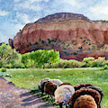 Peaceful Pasture by Anne Gifford
