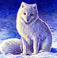 Peaceful Winter Arctic Fox Painting by Rebecca Wang Peaceful Winter Arctic Fox Painting by Rebecca Wang