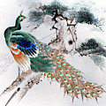 Peacock Painting by Shisen Peacock Painting by Shisen