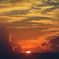 Peeking Sunshine Photograph by Briand Sanderson Peeking Sunshine Photograph by Briand Sanderson