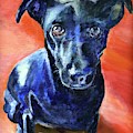 Peter Painting by Kate Conaboy Peter Painting by Kate Conaboy
