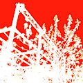 Philadelphia Rail Park View 1 by Rose Drew Philadelphia Rail Park View 1 by Rose Drew