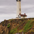 Pigeon Point Lighthouse IV Color Photograph by David Gordon Pigeon Point Lighthouse IV Color Photograph by David Gordon
