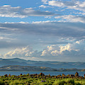 Pilgrimage To the Sunset, Mono Lake, CA, by Andy Romanoff