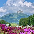Pilot Mountain Late Summer by Chris Berrier
