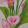 Pink Calla Lillies Painting by Ann Frederick Pink Calla Lillies Painting by Ann Frederick