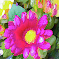 Pink flower pastel Photograph by Phillip Rubino Pink flower pastel Photograph by Phillip Rubino