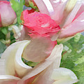 Pink Rose and Petals Abstract Photograph by Phillip Rubino Pink Rose and Petals Abstract Photograph by Phillip Rubino