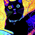 pOpCat Olive by DC Langer pOpCat Olive by DC Langer