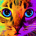 pOpCat Tito Puentes by DC Langer pOpCat Tito Puentes by DC Langer
