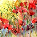 Poppies Bathing In The Sun by Suzann Sines Poppies Bathing In The Sun by Suzann Sines