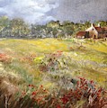Poppies in the Cotswolds, Spring in the air. by Lizzy Forrester Poppies in the Cotswolds, Spring in the air. by Lizzy Forrester