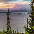 Priest Lake Gold Photograph by Leland D Howard