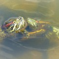 Promise You Won't Let Go by Jerilyn Ezinga