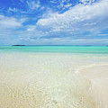 Pure Blue Bliss Photograph by Becqi Sherman Pure Blue Bliss Photograph by Becqi Sherman
