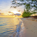 Pure Nature by Chad Dutson Pure Nature by Chad Dutson